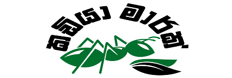 Kadiya logo